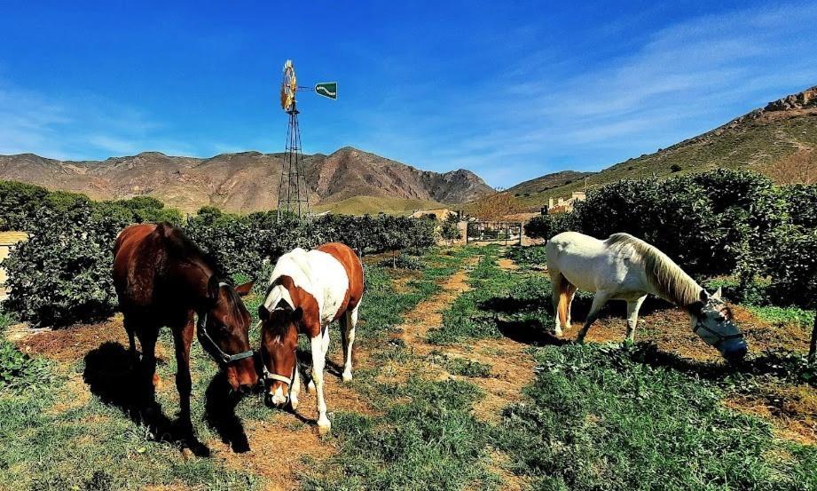 Ecoturismo Cabo Tinoso Casa di campagna